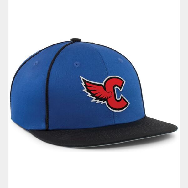 Momentum Team Cap Thumbnail