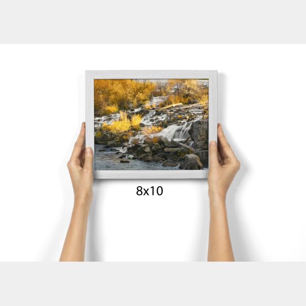 8x10 Photo Print Thumbnail