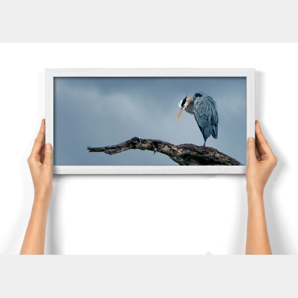 10x20 Photo Print Thumbnail