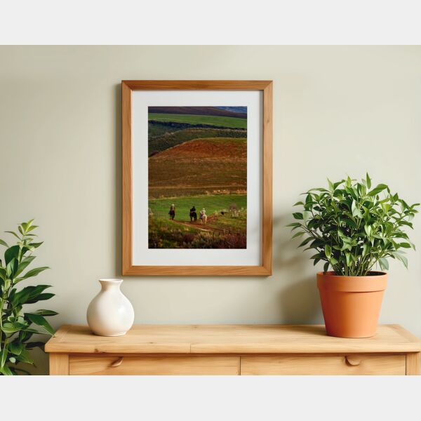 13x19 Photo Print Thumbnail