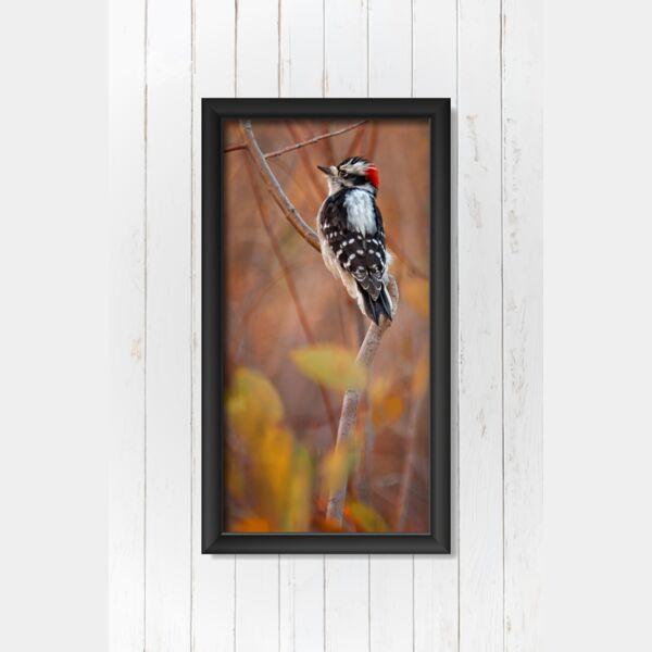 15x30 Photo Print Thumbnail