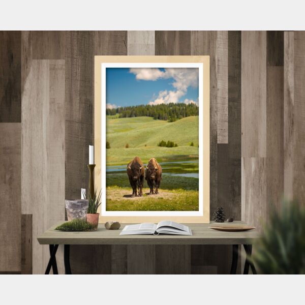 20x30 Photo Print Thumbnail