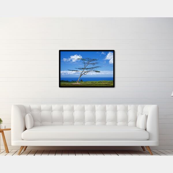 24x36 Photo Print Thumbnail