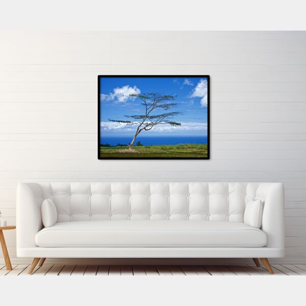 30x40 Photo Print Thumbnail