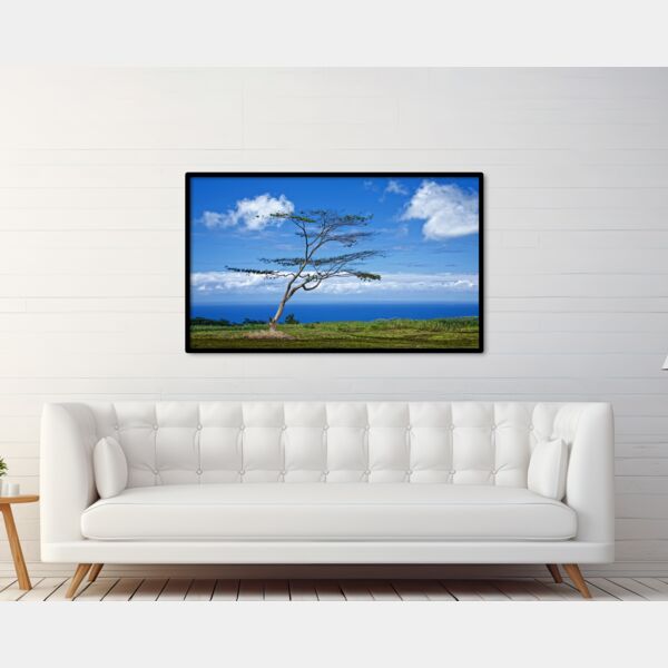 30x50 Photo Print Thumbnail