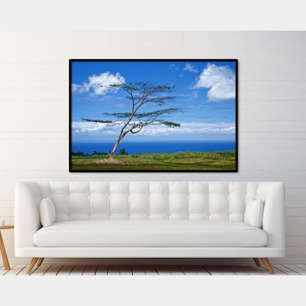 40x60 Photo Print Thumbnail