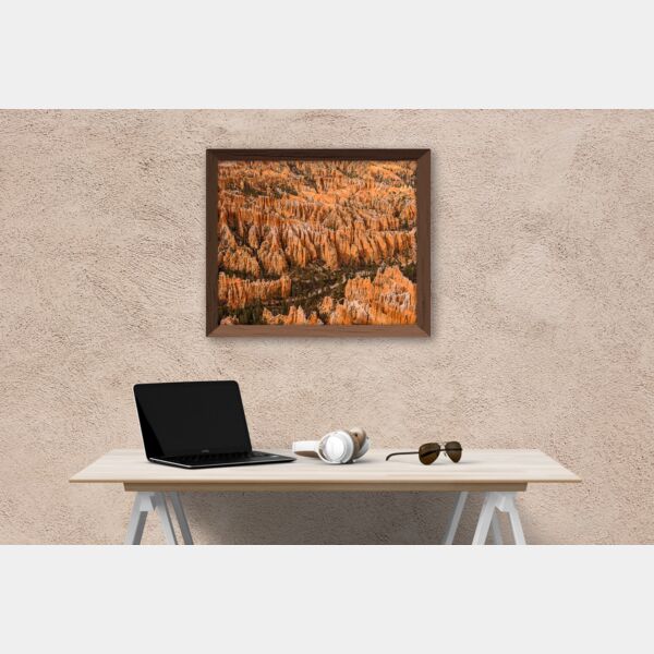 20x28 Photo Print Thumbnail