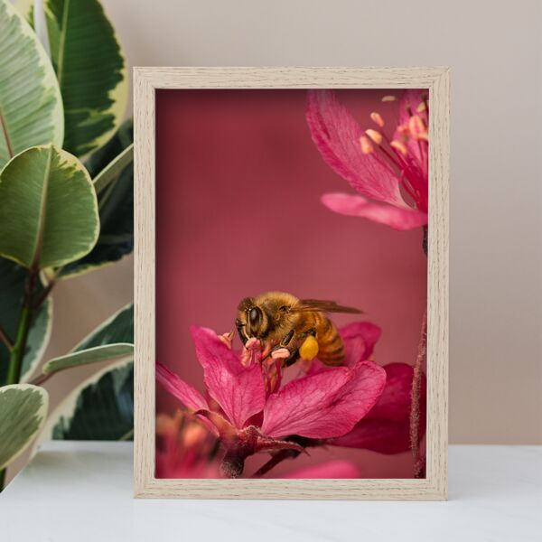 8.5" X 11" Photo Print Thumbnail