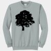 Core Fleece Crewneck Sweatshirt Thumbnail