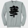 Core Fleece Crewneck Sweatshirt Thumbnail